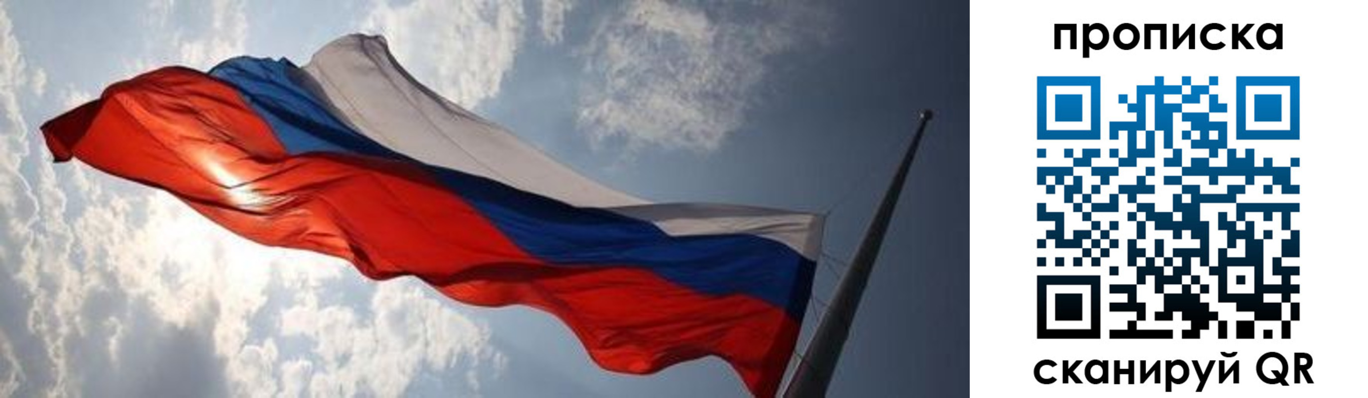 прописка штамп в Пионерском