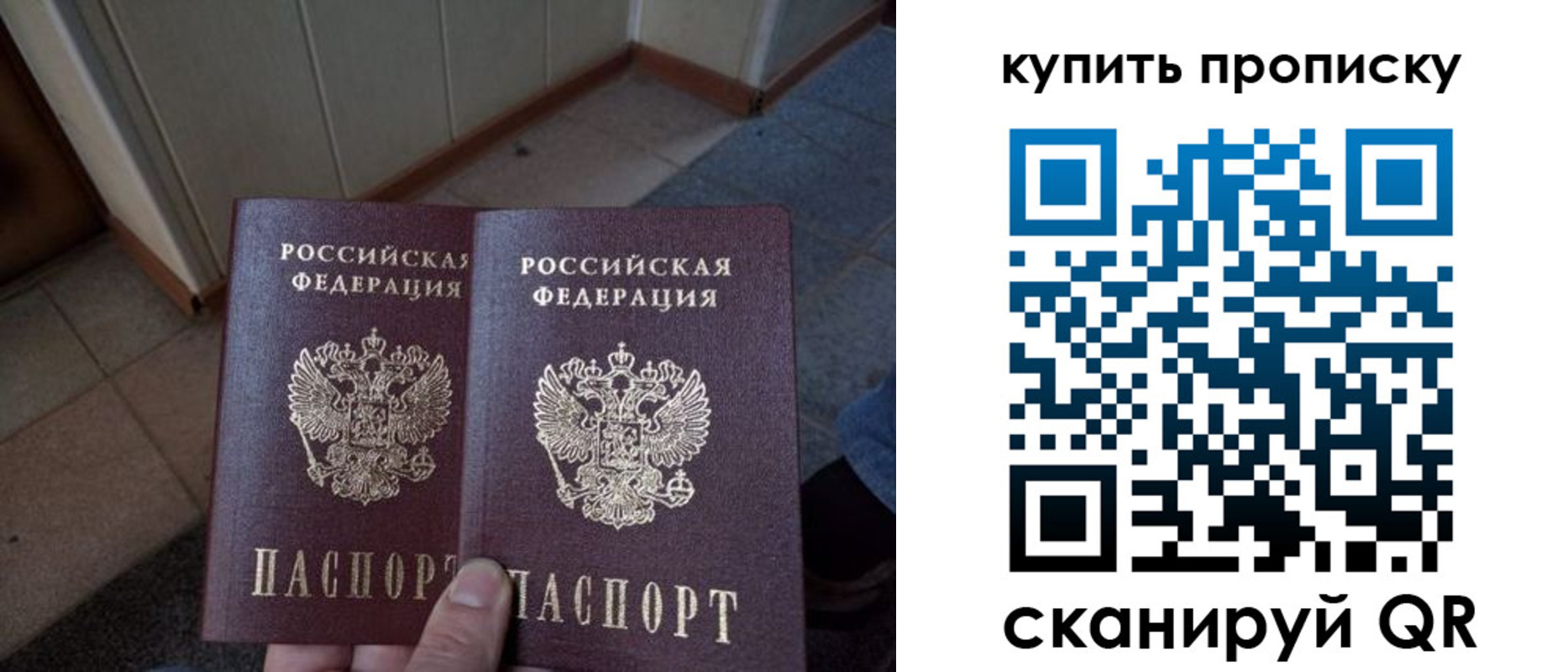 купить прописку в Пионерском